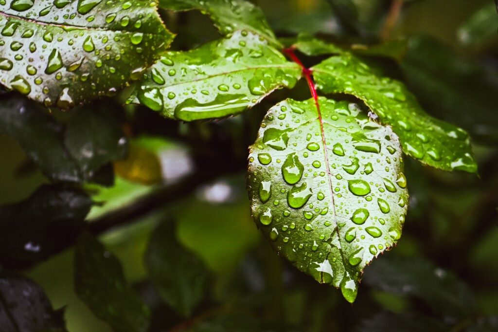 ヘアオイルの保湿効果は本当にあるの？
