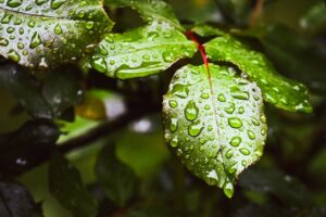 ヘアオイルの保湿効果は本当にあるの？