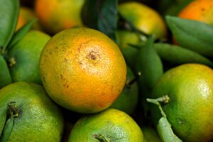 オーガニックヘアオイルのメリットはどこにあるのか？