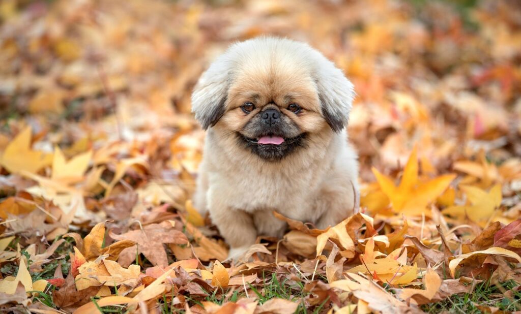 ヘアオイルの持ち運びに便利なアイテムは？