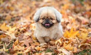 ヘアオイルの持ち運びに便利なアイテムは？